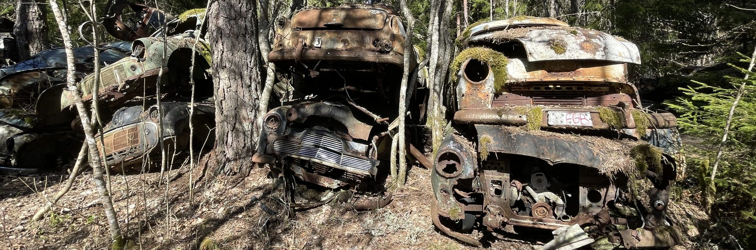 Skaffa torkararm till Alfa-Romeo från Angered hos bilskrot